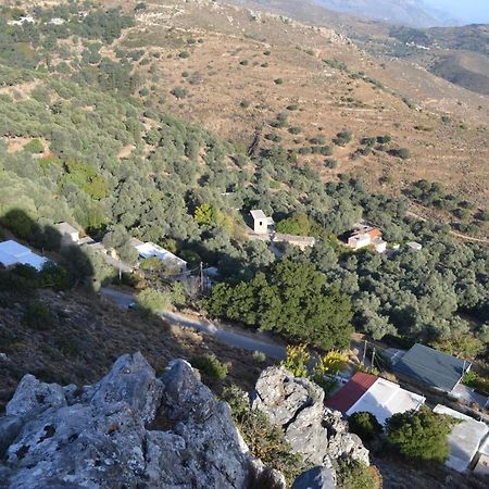 Garden Of Olive Trees Villa Asfendiles Dış mekan fotoğraf