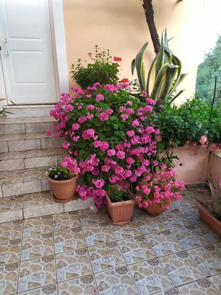 Garden Of Olive Trees Villa Asfendiles Dış mekan fotoğraf