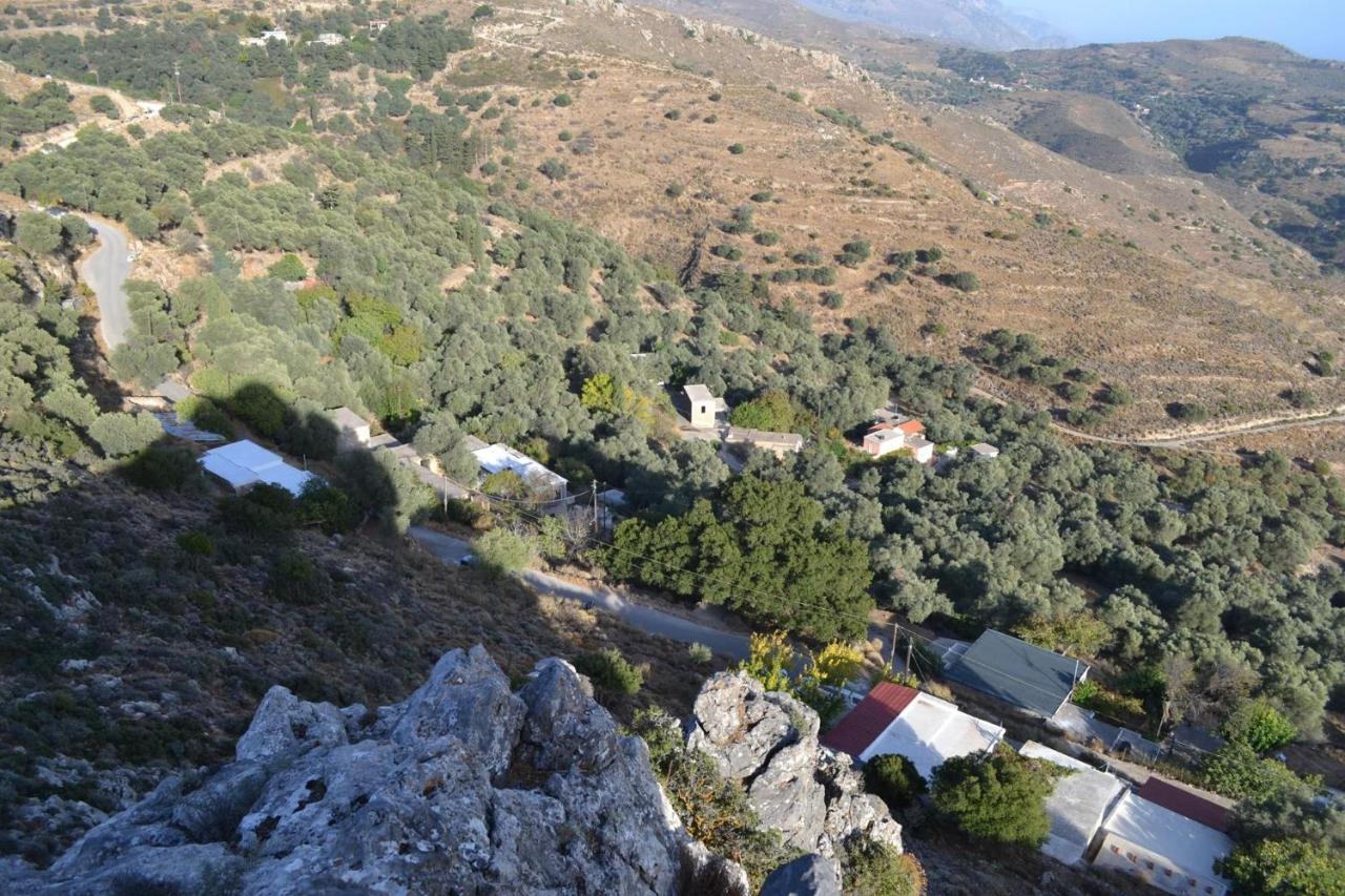 Garden Of Olive Trees Villa Asfendiles Dış mekan fotoğraf
